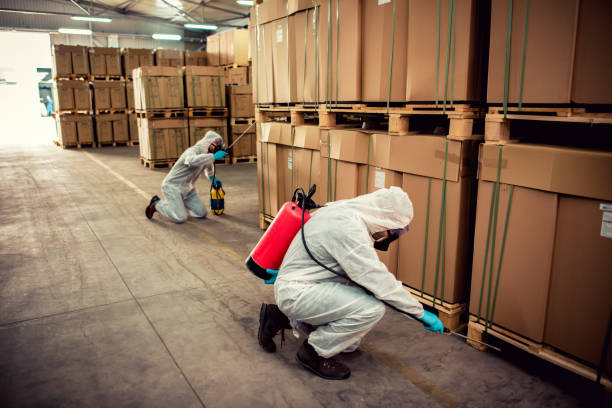 Best Pest Control Near Me  in Middlebranch, OH