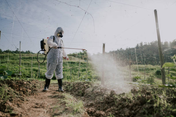 Best Pest Control for Homes  in Middlebranch, OH