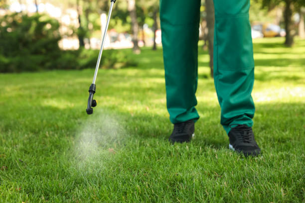 Best Emergency Pest Control  in Middlebranch, OH