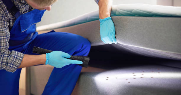 Best Pest Prevention Services  in Middlebranch, OH
