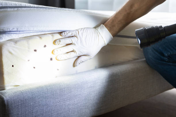 Trusted Middlebranch, OH Pest Control Experts